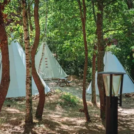 Campsite 2 Etoiles - Piscine - Ccb0hef *